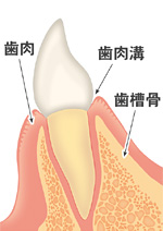 1.正常な状態